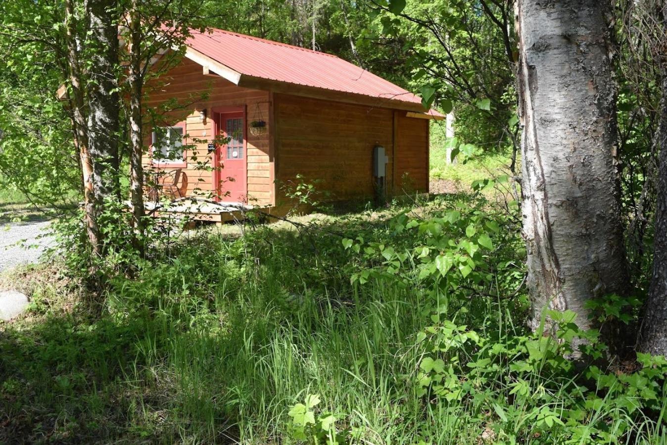 Birch Cabin Talkeetna Exterior photo