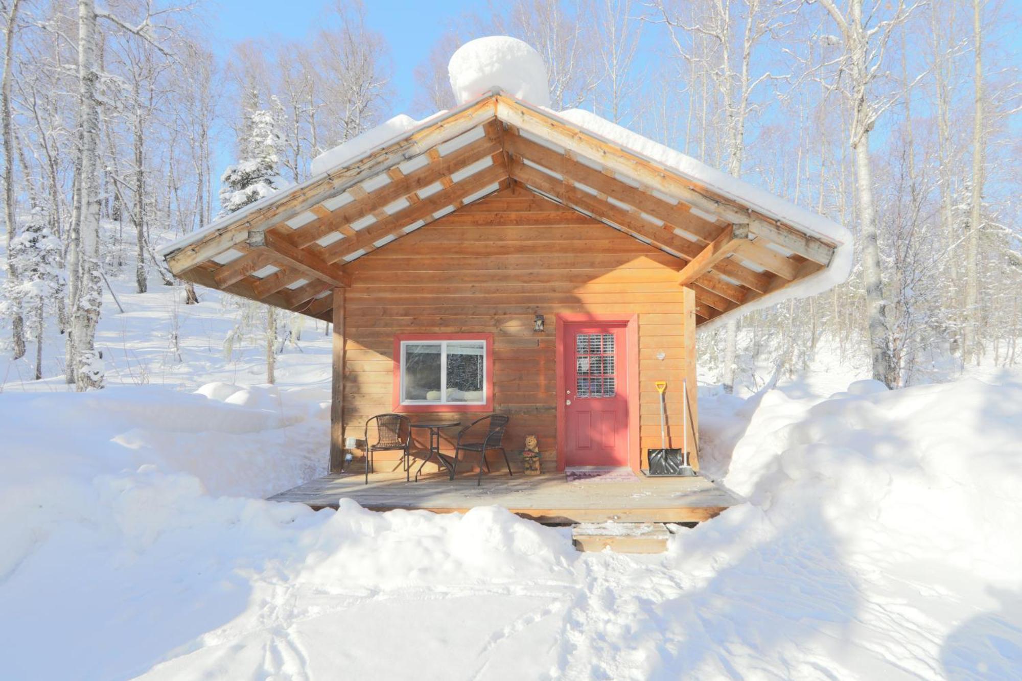Birch Cabin Talkeetna Exterior photo